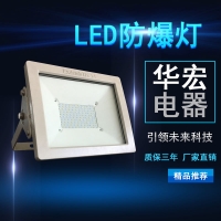 BAD808-L2 LED防爆灯具 LED防爆节能灯