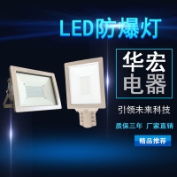 BAD808-L2 LED防爆泛光灯 防爆免维护节能灯